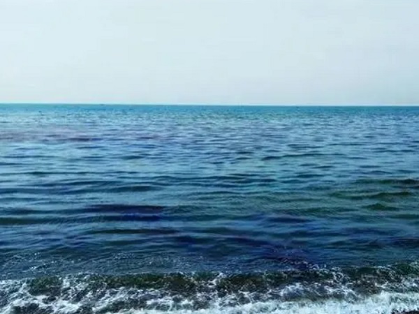 日本核廢水將排海-影響何以估量？